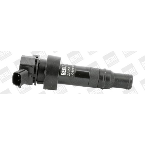 Z&uuml;ndspule Borgwarner (beru) ZS551 f&uuml;r Hyundai Kia