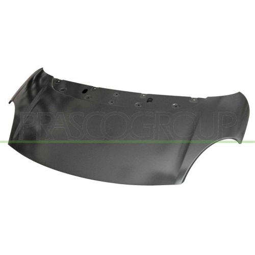 Bonnet Prasco FT0403100 for Fiat