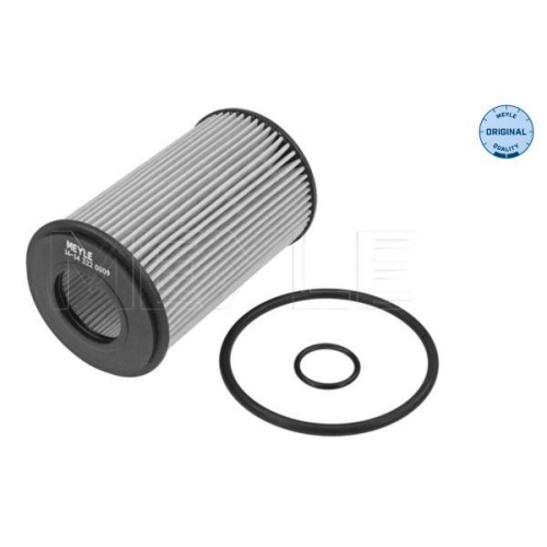 &Ouml;lfilter Meyle 16143220009 Meyle-original: True To Oe. f&uuml;r Renault