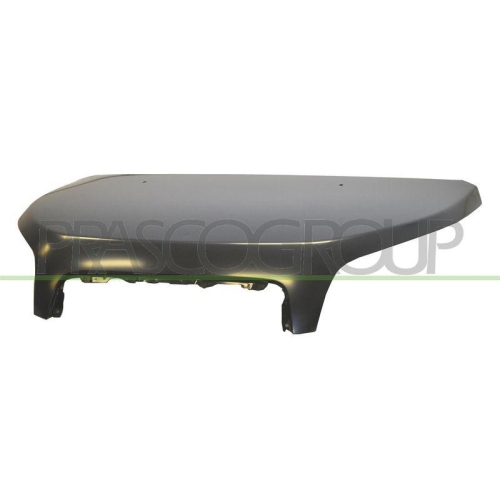 Bonnet Prasco DH7093100 for Daihatsu