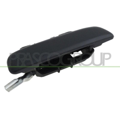 Türaußengriff Prasco CI0228102 für Citroën Außen Hinten Links