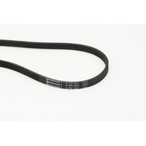 Keilrippenriemen Continental Ctam 4PK841 für Audi Citroën Fiat Lancia Peugeot VW