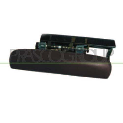 Türaußengriff Prasco CI4208004 für Citroën Außen Vorne Links