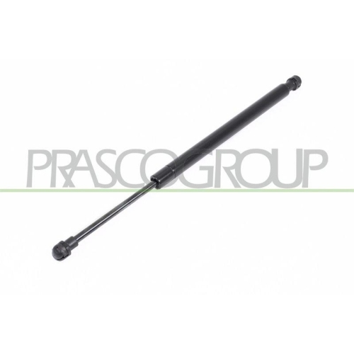 Gasfeder Koffer /laderaum Prasco BM0249055 f&uuml;r Bmw Beidseitig