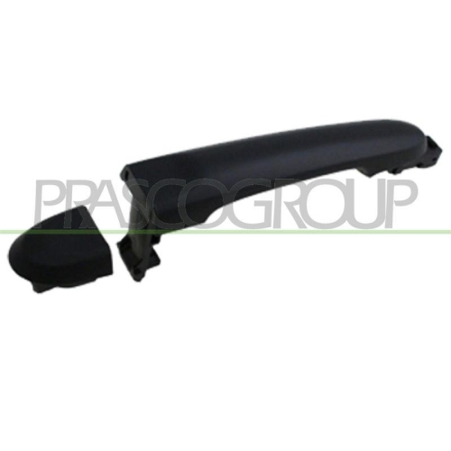 Türaußengriff Prasco DS0148113 für Nissan Außen Hinten Links Hinten Rechts