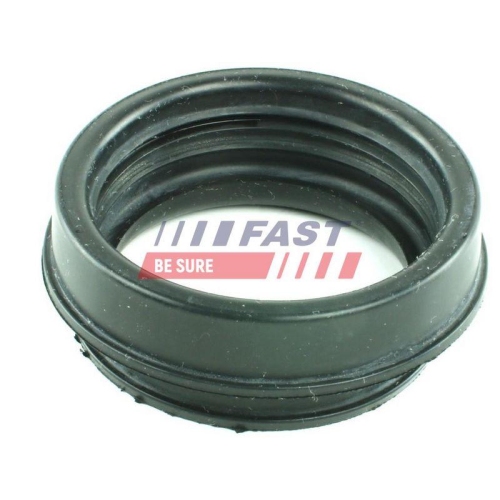 Dichtring Ansaugschlauch Luftfiltergeh&auml;use Fast FT49914 f&uuml;r Fiat
