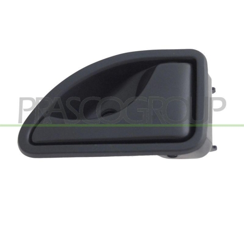 Türgriff Innenausstattung Prasco DS9178407 für Citroën Nissan Renault Innen