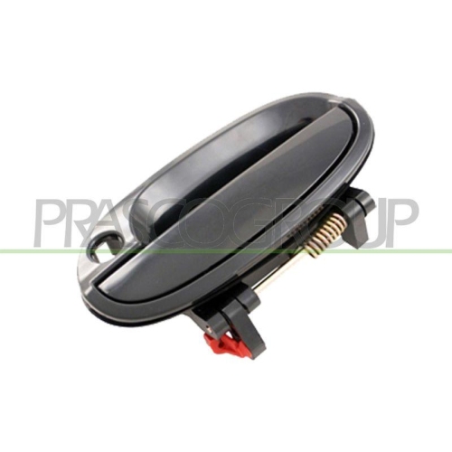 Türaußengriff Prasco DW3248008 für Chevrolet Außen Vorne Links