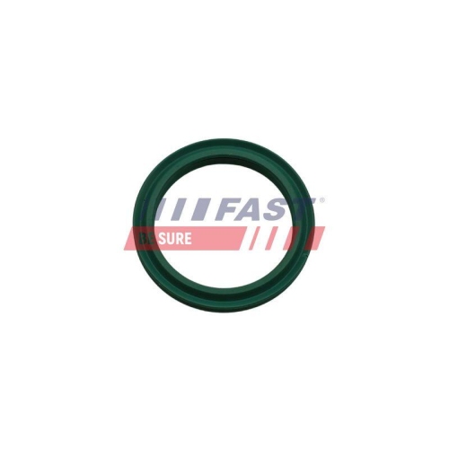 Dichtring Ladeluftschlauch Fast FT48933 f&uuml;r Citro&euml;n Nissan Opel Renault