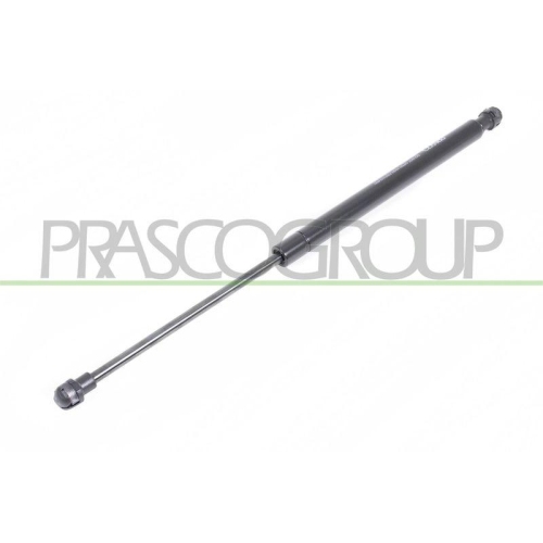 Gasfeder Koffer /laderaum Prasco FT1249065 für Fiat Beidseitig