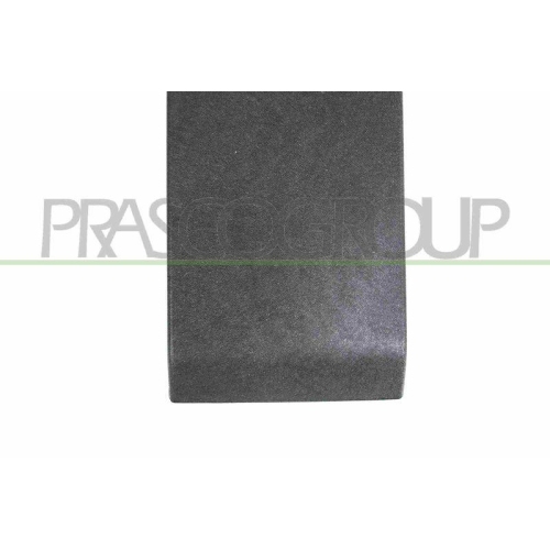 Trim/protection Strip Quarter Panel Prasco RN9541416 for Renault