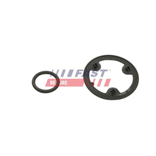 Dichtung &Ouml;lk&uuml;hler Fast FT48954 f&uuml;r Fiat Iveco Am W&auml;rmetauscher