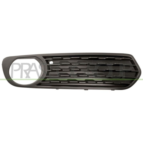 L&uuml;ftungsgitter Sto&szlig;f&auml;nger Prasco BM1232123 f&uuml;r Bmw Rechts