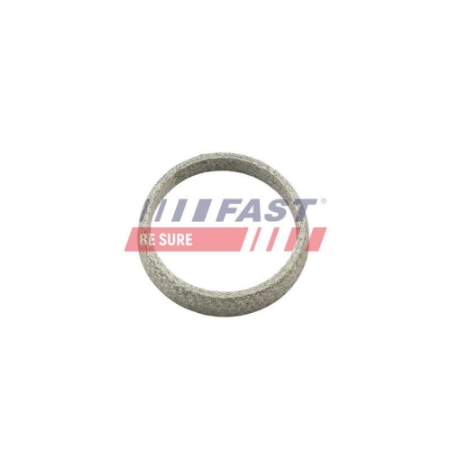 Dichtring Abgasrohr Fast FT84823 f&uuml;r Citro&euml;n Fiat