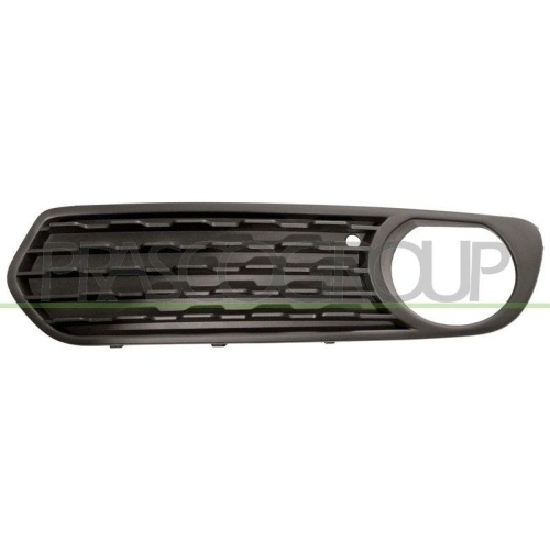 L&uuml;ftungsgitter Sto&szlig;f&auml;nger Prasco BM1232124 f&uuml;r Bmw Links
