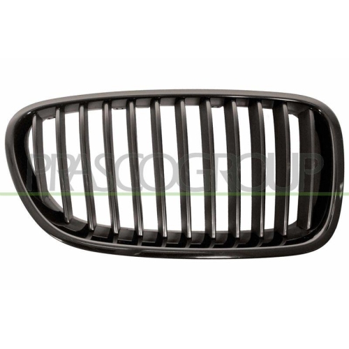 K&uuml;hlergitter Prasco BM0492003 f&uuml;r Bmw Rechts