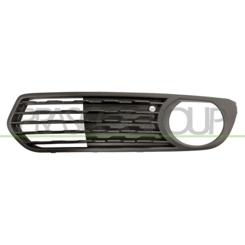 L&uuml;ftungsgitter Sto&szlig;f&auml;nger Prasco BM1232134 f&uuml;r Bmw Links