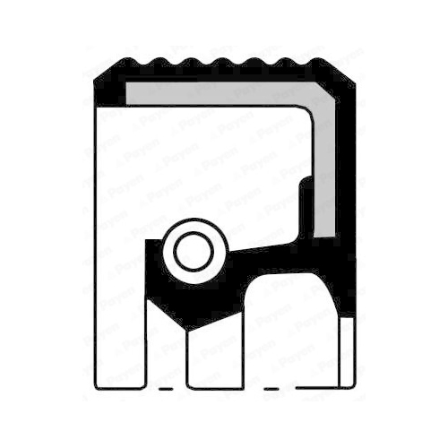 Wellendichtring Differential Payen NA5001 für Ford Seat Volvo VW Wartburg Außen