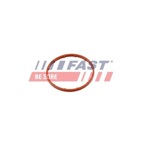 Dichtung Unterdruckpumpe Fast FT50701 f&uuml;r Citro&euml;n Fiat