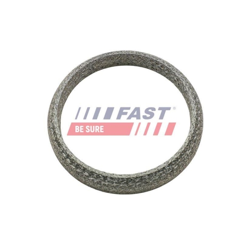 Dichtring Abgasrohr Fast FT84818 f&uuml;r Mercedes Benz Mercedes Benz Mercedes Benz