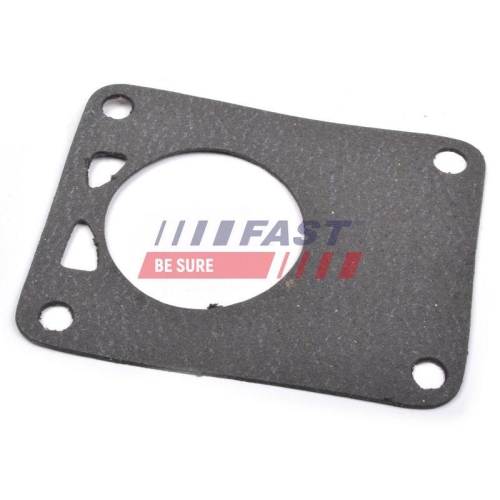 Dichtung Unterdruckpumpe Fast FT49901 f&uuml;r Citro&euml;n Iveco VW Fiat