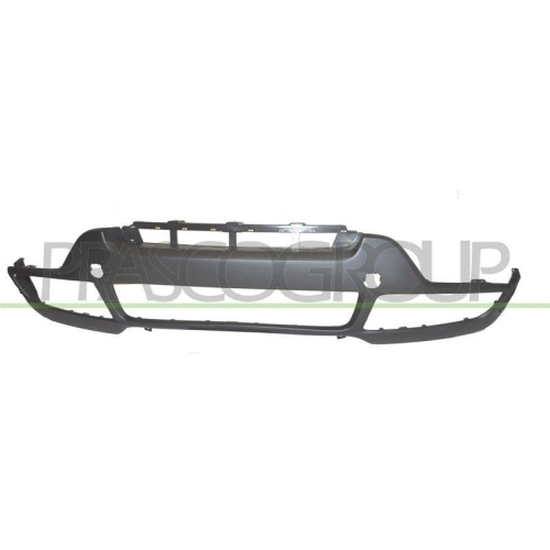 Sto&szlig;f&auml;nger Prasco BM8221011 f&uuml;r Bmw Vorne