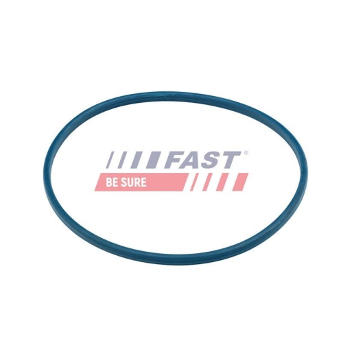 Dichtung Kraftstoffbehälterverschluss Fast FT48504 für Citroën Alfa Romeo Fiat