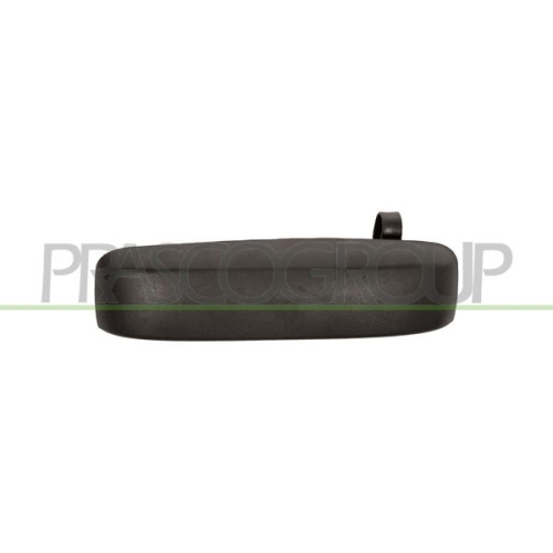 Türaußengriff Prasco FT1228102 für Fiat Außen Hinten Links