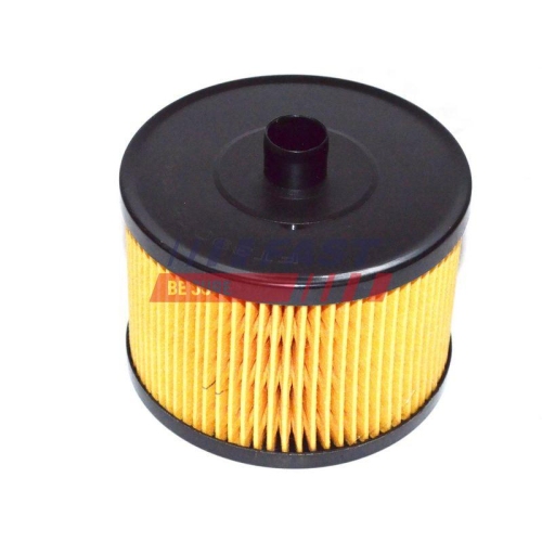 Filter Kraftstoff F&ouml;rdereinheit Fast FT39076 f&uuml;r Citro&euml;n Fiat Ford Opel VW