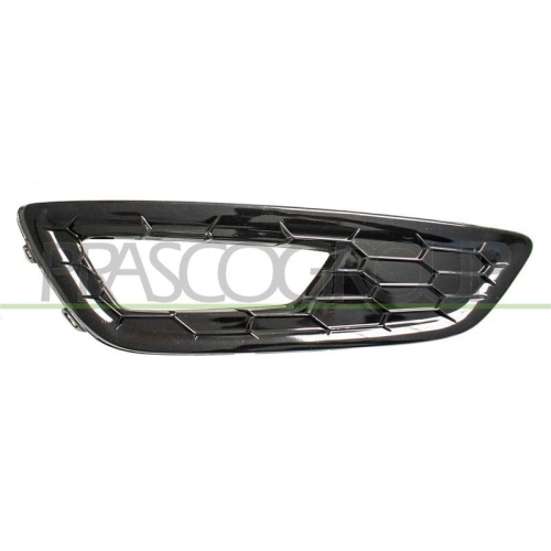 L&uuml;ftungsgitter Sto&szlig;f&auml;nger Prasco FD4302144 f&uuml;r Ford Links