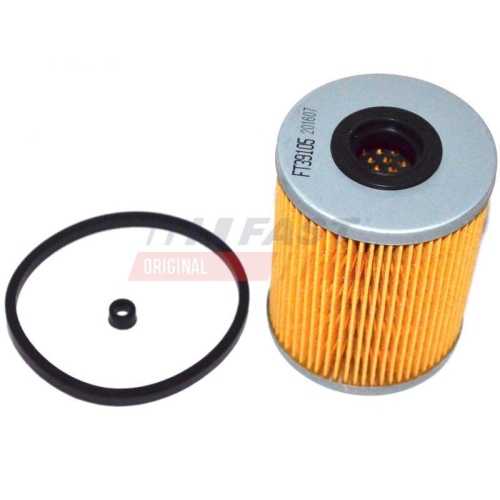 Filter Kraftstoff F&ouml;rdereinheit Fast FT39105 f&uuml;r Citro&euml;n Iveco Nissan Opel