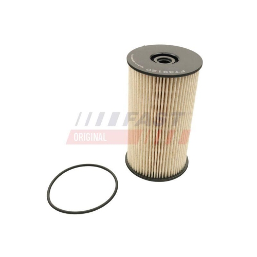 Filter Kraftstoff F&ouml;rdereinheit Fast FT39120 f&uuml;r VW