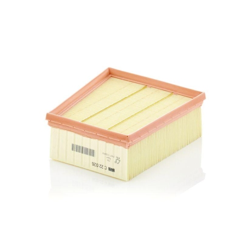 Air Filter Mann-filter C 22 026 for Mercedes Benz Mercedes Benz Nissan Renault