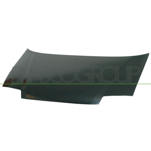 Motorhaube Prasco HN3243100 für Hyundai