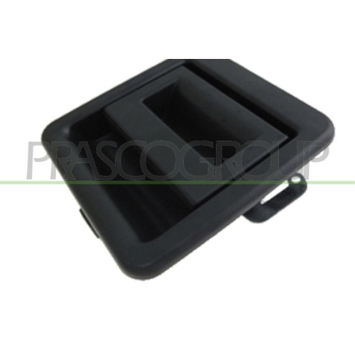 Türaußengriff Prasco FT9198101 für Citroën Fiat Peugeot Außen Hinten Rechts