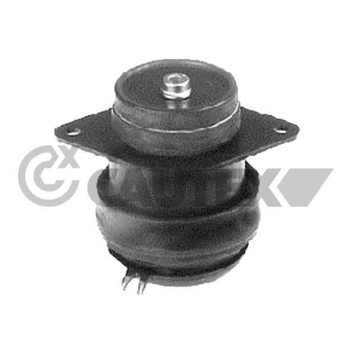 Lagerung Motor Cautex 760570 f&uuml;r VW Hinten Rechts
