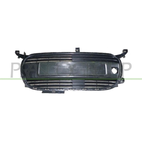 K&uuml;hlergitter Prasco CI2032001 f&uuml;r Citro&euml;n
