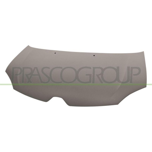 Motorhaube Prasco RN2023100 für Renault