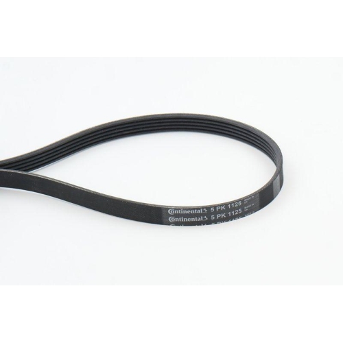 Keilrippenriemen Continental Ctam 5PK1125 für Audi Bmw Citroën Daimler Fiat Opel