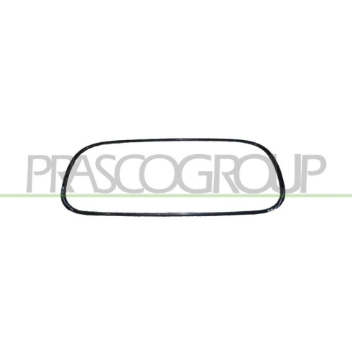 Zier /schutzleiste K&uuml;hlergitter Prasco CI2032206 f&uuml;r Citro&euml;n