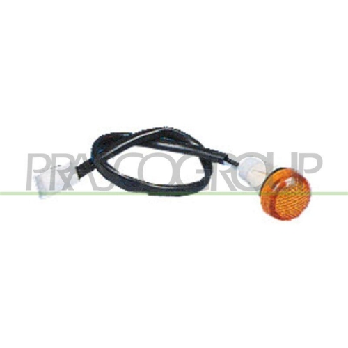 Blinkleuchte Prasco FT1294039 für Fiat Seitlicher Einbau Vorne Links