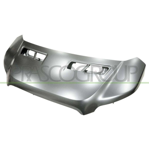 Motorhaube Prasco FD9133100 für Ford