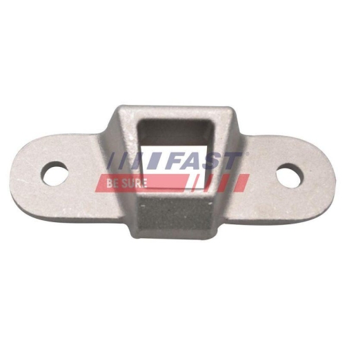 F&uuml;hrung Verriegelungsknopf Fast FT95362 f&uuml;r Citro&euml;n Fiat Iveco Hinten