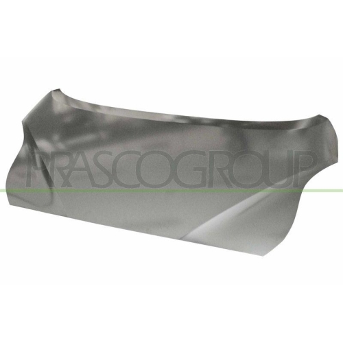 Bonnet Prasco HN4203100 for Hyundai