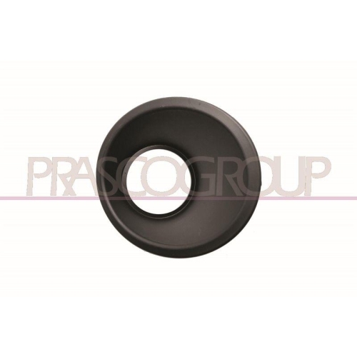 Rahmen Nebelscheinwerfer Prasco FT9071241 f&uuml;r Fiat Rechts