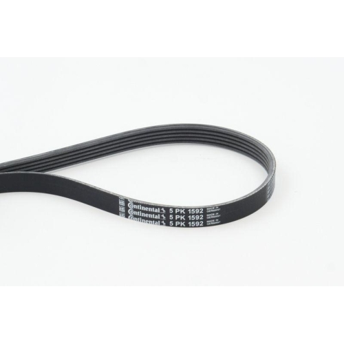 Keilrippenriemen Continental Ctam 5PK1592 f&uuml;r Alfa Romeo Audi Fiat Mercedes Benz