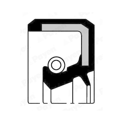 Wellendichtring Kurbelwelle Payen NJ324 f&uuml;r Mazda Nissan Stirnseitig