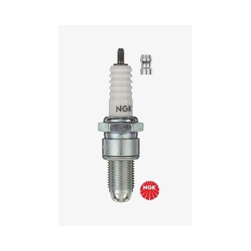 Z&uuml;ndkerze Ngk 3684 f&uuml;r Audi Seat Skoda VW Lamborghini Bentley