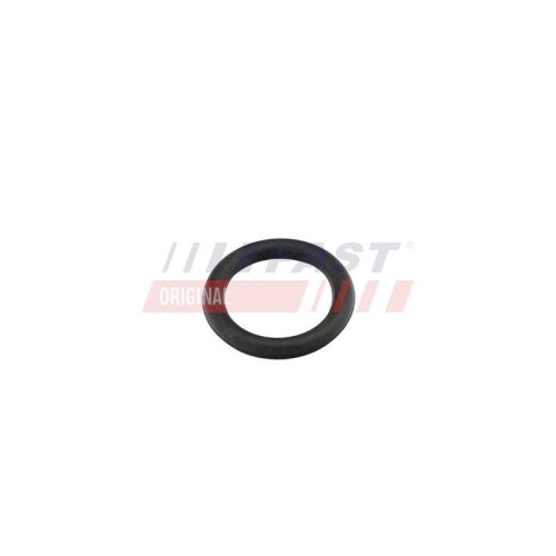 Dichtung Ansaugkr&uuml;mmer Fast FT49419 f&uuml;r Citro&euml;n Fiat VW