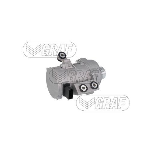 Wasserpumpe Motork&uuml;hlung Graf PA1369 f&uuml;r Bmw